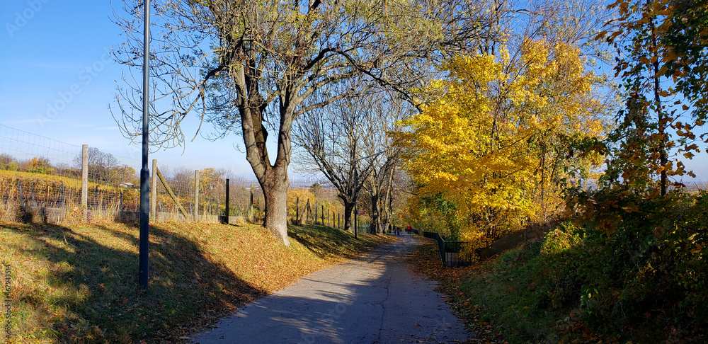 Wandern im herbstlichen Wien Wandern im herbstlichen Wien