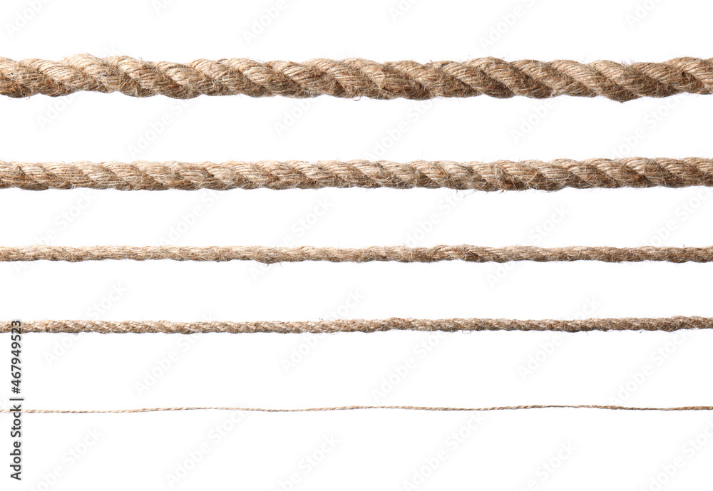 Set of hemp ropes on white background Set of hemp ropes on white background