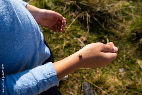 A red ladybug sits on the hand of young girl. Small hiker girl. Travel concept. Ladybird close up view.