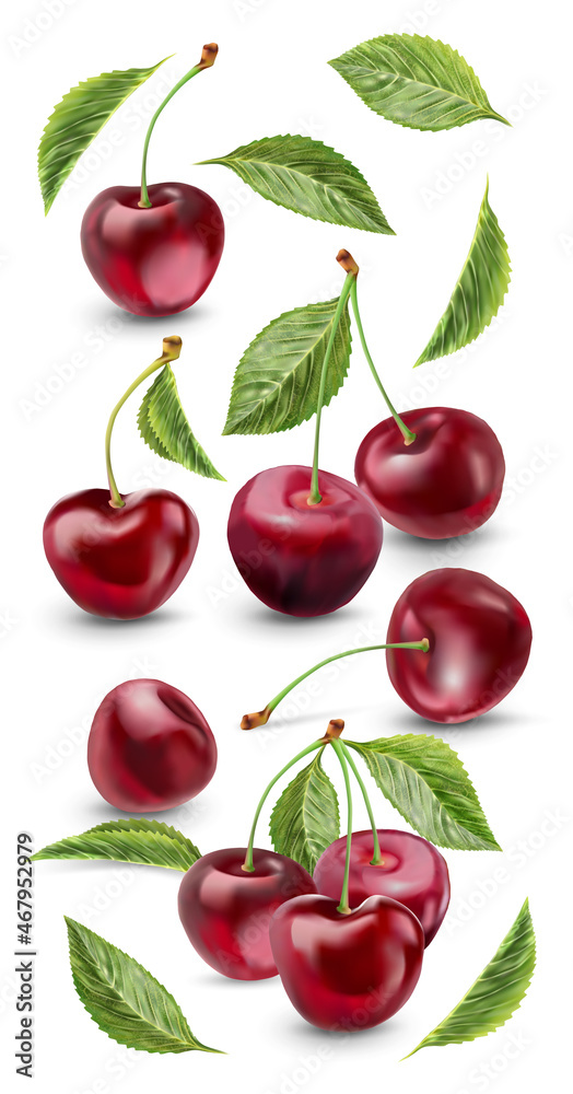 Realistic cherry with fresh leaves, red juicy on a white background for design. Realistic cherry with fresh leaves, red juicy on a white background for design.