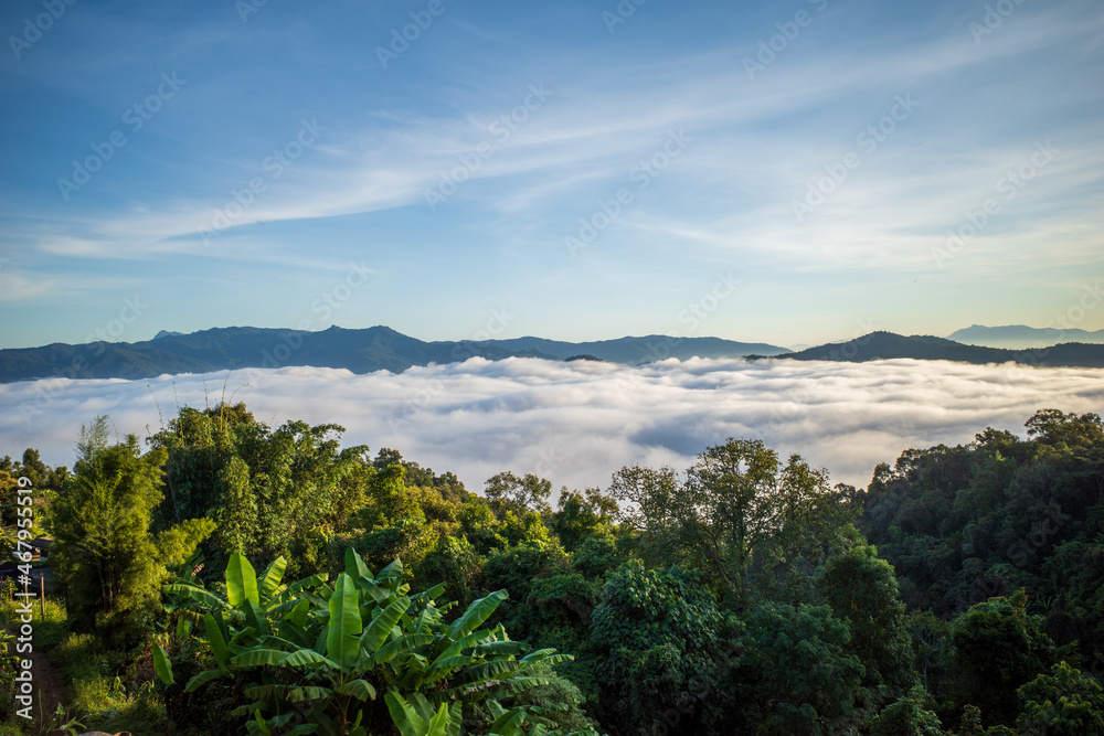 Thailand in the wild with sea foggy on the morning Thailand in the wild with sea foggy on the morning