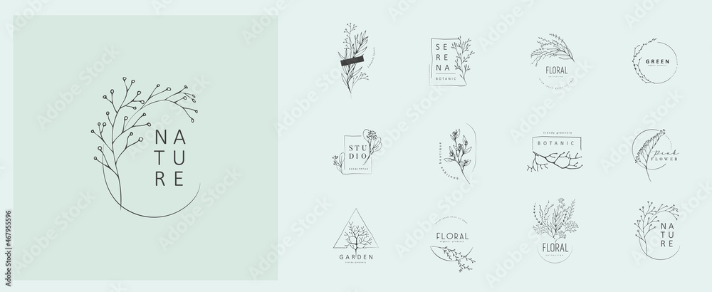 Set of inimal feminine botanical floral branch and logo. Hand drawn wedding herb, homeplant with elegant leaves. Botanical rustic trendy greenery vector