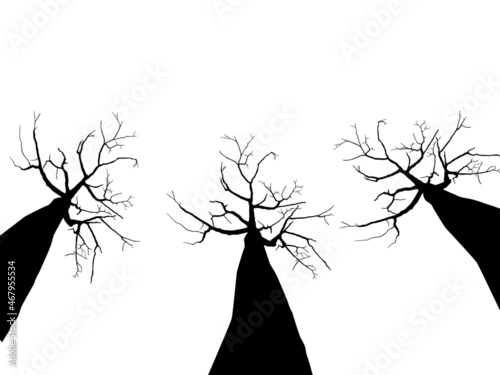 vector illustration set Dry bare tree silhouette with no living leaves. Dead wood. Hand drawn damaged environment. isolated on a white background