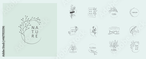 Set of inimal feminine botanical floral branch and logo. Hand drawn wedding herb, homeplant with elegant leaves. Botanical rustic trendy greenery vector