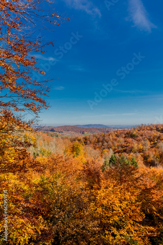 Herbstspaziergang rund um die Wartburgstadt Eisenach am Rande des Thüringer Waldes - Thüringen