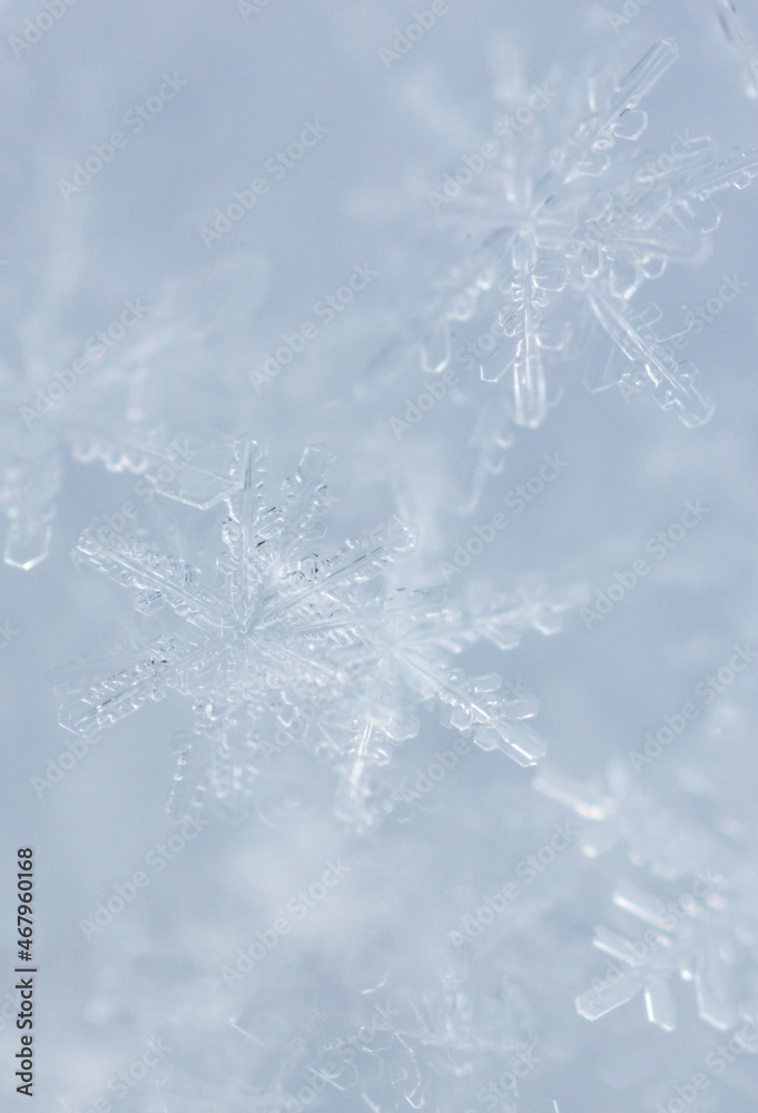 Close up of snowflakes as background.