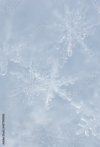 Close up of snowflakes as background.