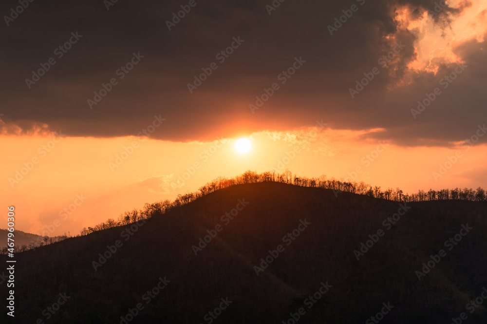 The sun over mountain peak with dried tree