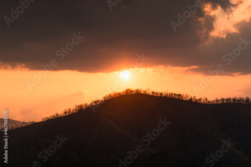 The sun over mountain peak with dried tree © Mumemories