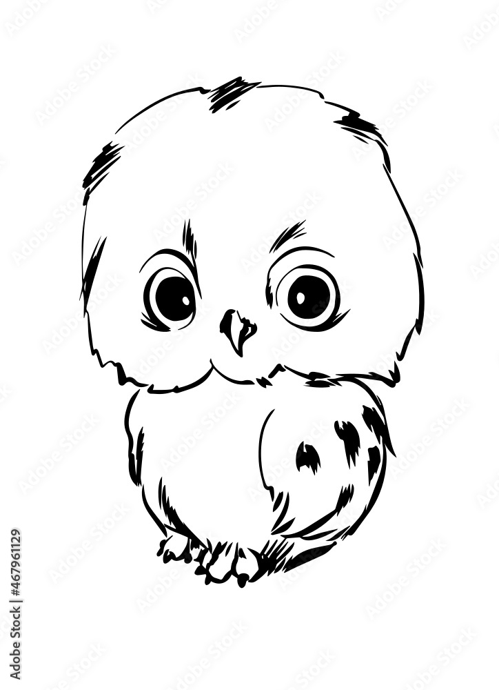 Cute baby owl illustration, Forest bird, hand drawn, Vector illustration