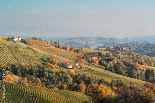 Weingärten in Herbstfarben in Südsteiermark 