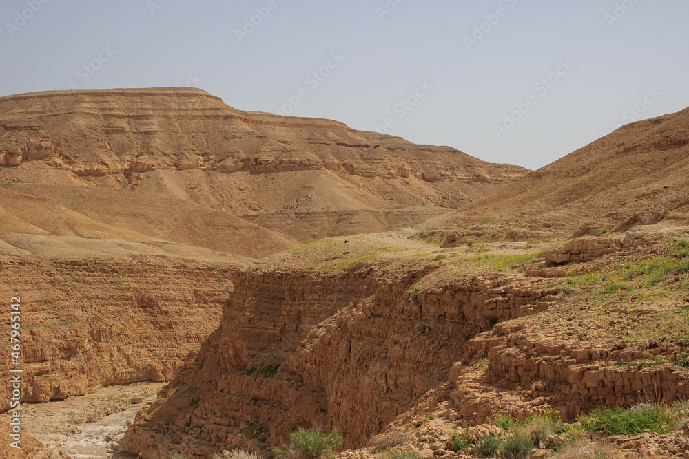 Judean Desert Canyon