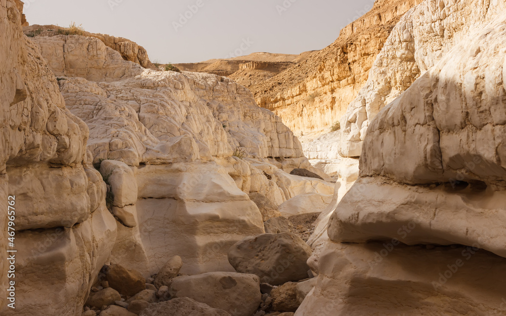 Stone Canyon in the Judean Desert in Israel