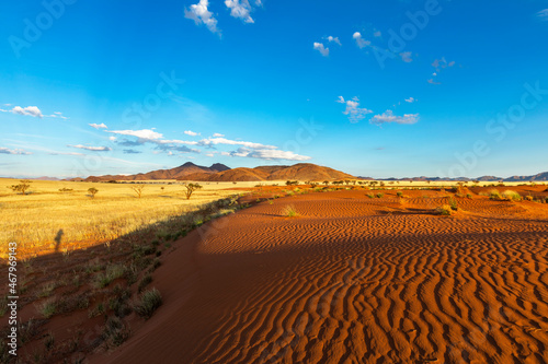 Wind swept red sand dune in Namib Desert