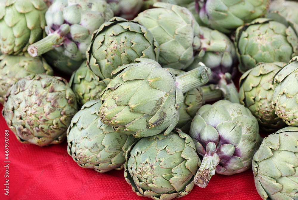 Obraz premium globe artichokes 