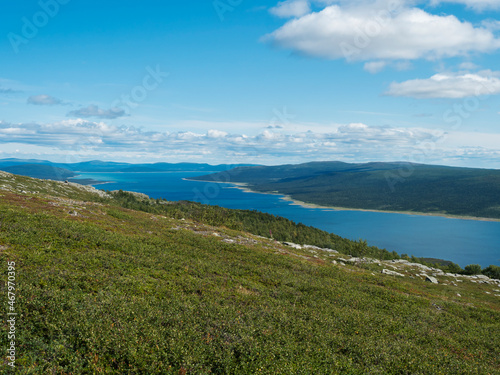 View on Tjaktjajaure lake, valley from Kungsleden hiking trail in Sarek national park, Sweden Lapland. Nordic wild landscape with mountains, hill, rocks and birch trees. Summer sunny day, blue sky