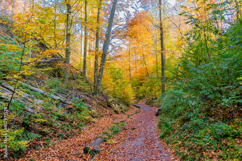 Herbstspaziergang rund um die Wartburgstadt Eisenach am Rande des Thüringer Waldes - Thüringen © Oliver Hlavaty
