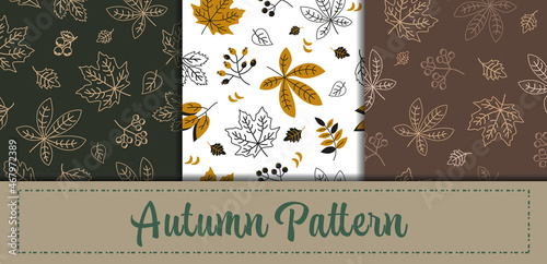 Collection of autumn patterns. Simple image of leaves. Vector graphics.
