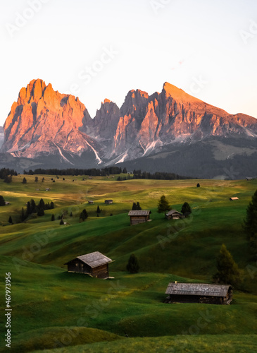 Green landscape view in Alpe di Siusi or Seiser Alm