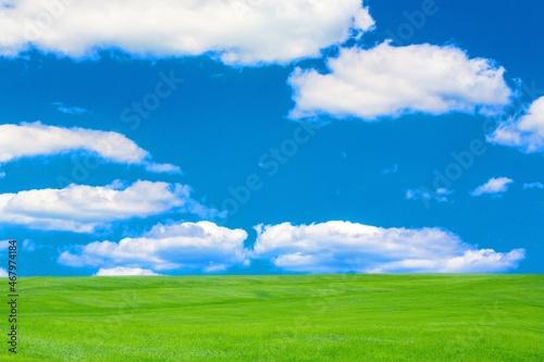 Green meadows with blue sky and white clouds background.