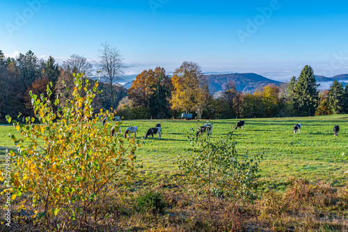 Schwarzwald ,Herbst 