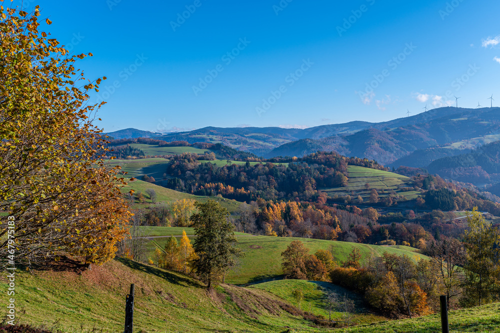 Schwarzwald ,Herbst 
