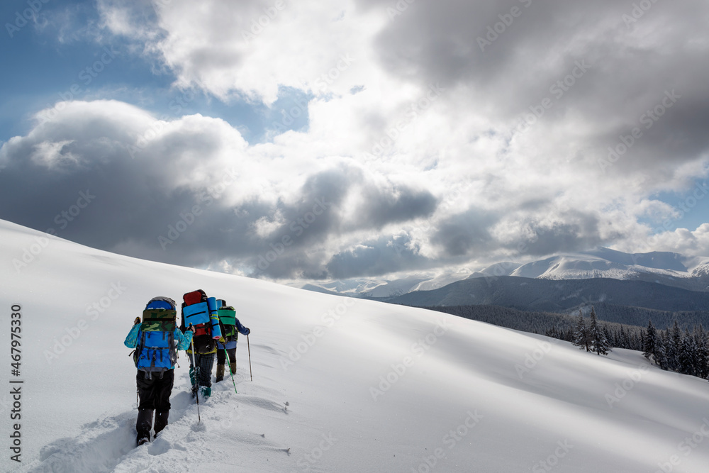 Group of hikers explore the winter mountains.