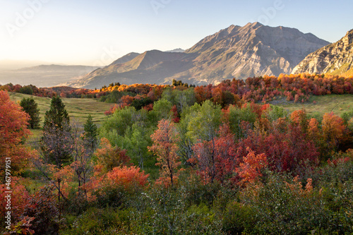 Picturesque valley with a view of Squaw Peak in autumn in the background, USA photo