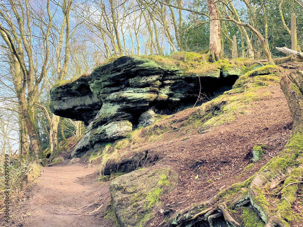 Fototapeta premium The Cheshire Countryside at Bickerton