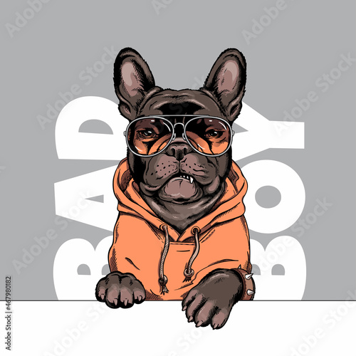 French bulldog illustration. Angry dog ​​sketch. Bad boy. Image for printing on any surface