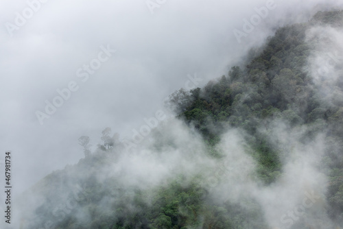 heavy fog in the forest view from above