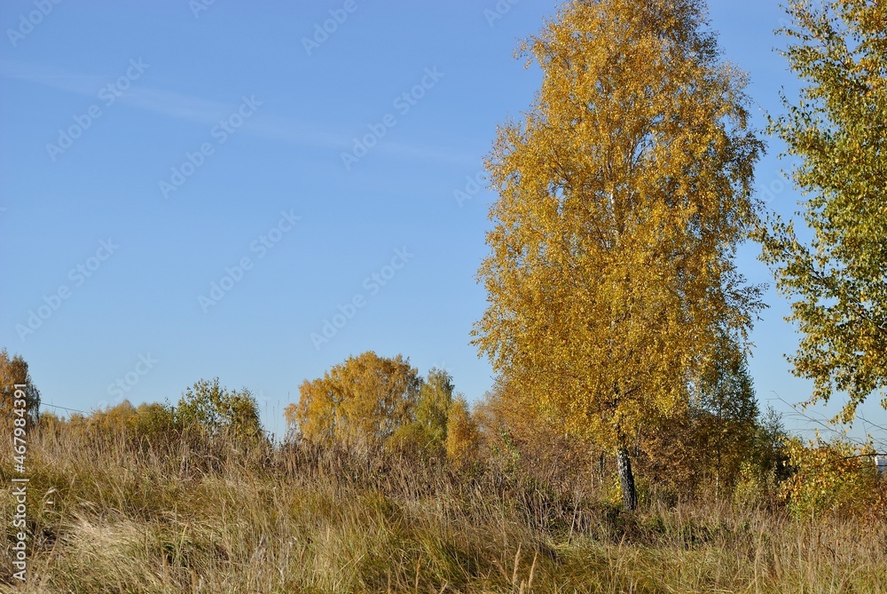 Autumn walks in the fields, the beauty of autumn nature