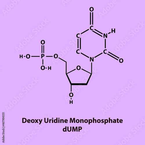 dUMP - Deoxyuridine monophosphate Nucleotide molecule strcuture on color background photo