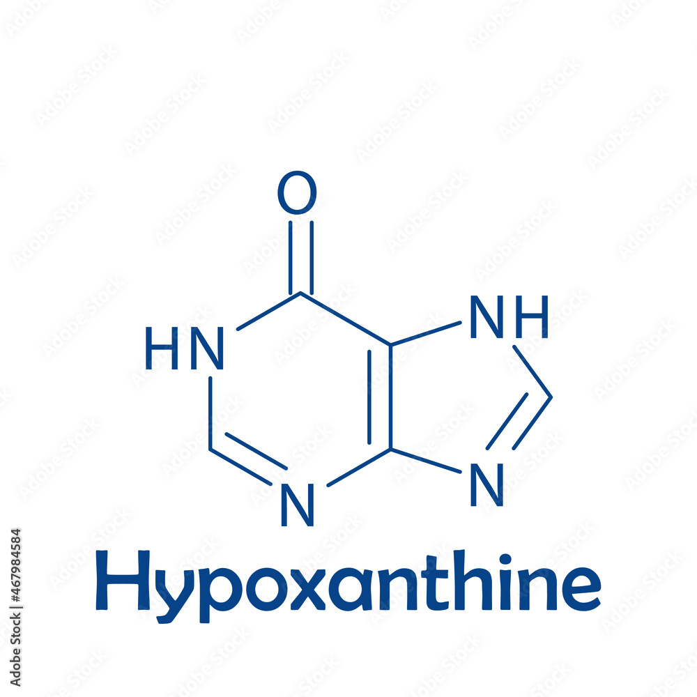 Hypoxanthine Nitrogenous base, nucleotide biomolecule strcuture on white background