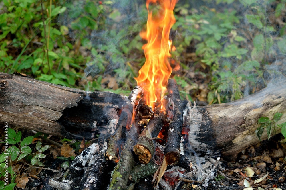 bonfire wood fire flame sparks bonfire wood fire flame sparks