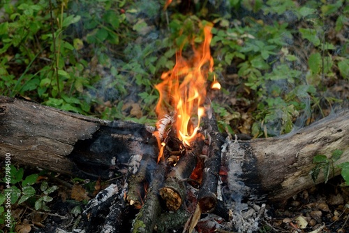 bonfire wood fire flame sparks 