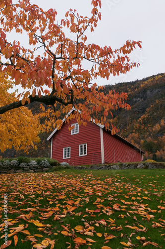 Traditional Scandinavian falun red woodhouse in autumn.