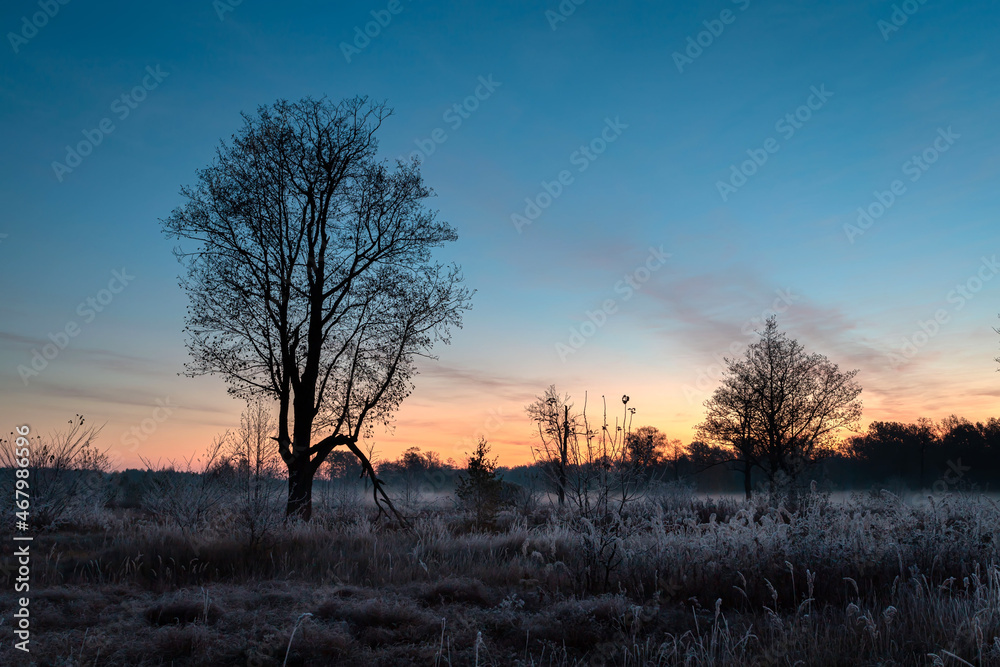 Misty morning in a field. Quiet, autumn sunrise over the field. Beautiful landscape. First sunny rays. Misty morning in a field. Quiet, autumn sunrise over the field. Beautiful landscape. First sunny rays.