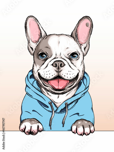 French bulldog illustration. Happy dog ​​sketch. Image for printing on any surface	
