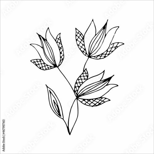 Fantasy whimsical twig with leaves hand drawn doodle element coloring book for kids and adults