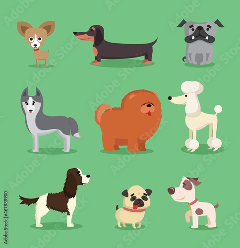 Cute dogs collection. Vector illustration of cartoon different breeds dogs  such as alaskan malamute  corgi  samoyed  border collie  doberman pinscher and pug in flat style. Isolated on white.