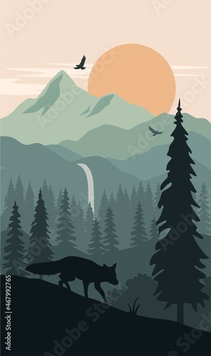 wolf in the mountains