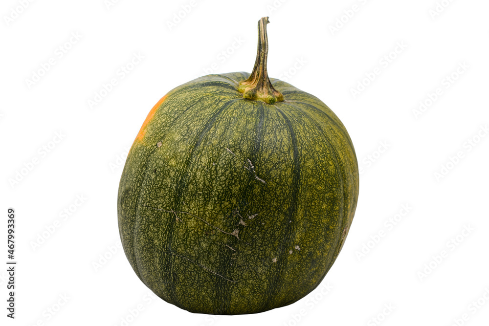 large ripe pumpkin of green color on a cut out background
large ripe pumpkin of green color on a cut out background