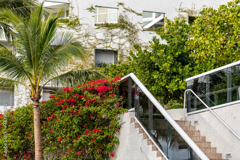 Fototapeta premium Red bougainvillea flowers in tropical city of Miami, Florida with entrance steps stairs to apartment building in South Beach