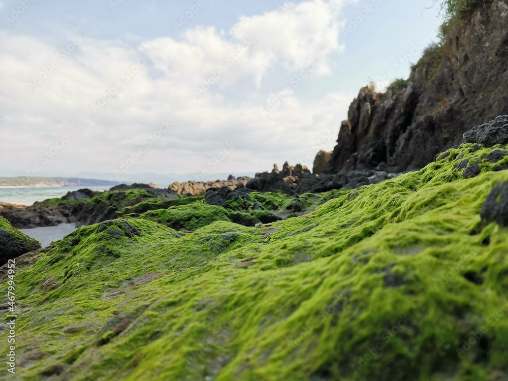 Fototapeta premium Playa montaña