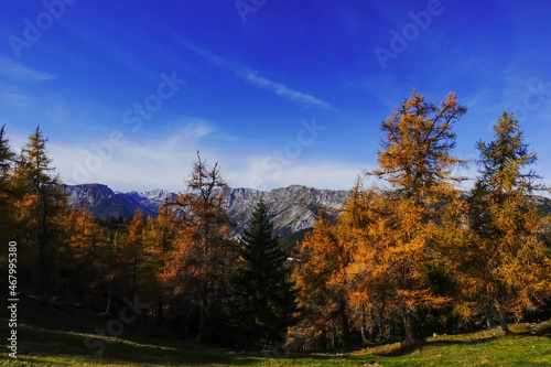 colorful trees while hiking in autumn montain landscape