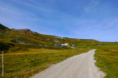 curvy dirt road to a alpine hut in a green mountain landscape