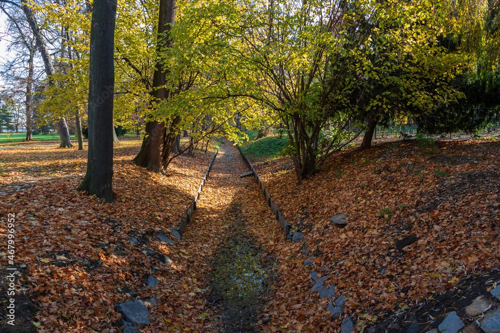 Castle park - autumn landscape with sun with colorful trees.
