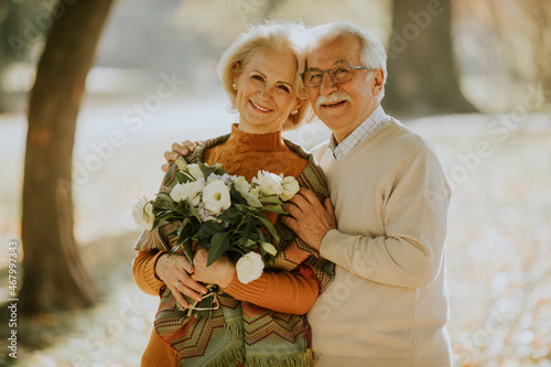 Senior couple embracing wit...