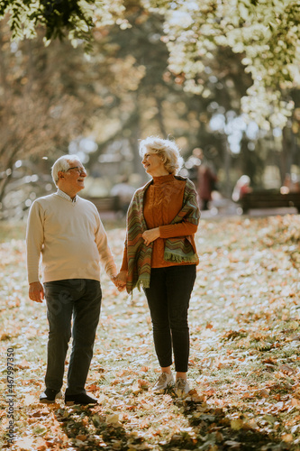 Senior couple walking in au...